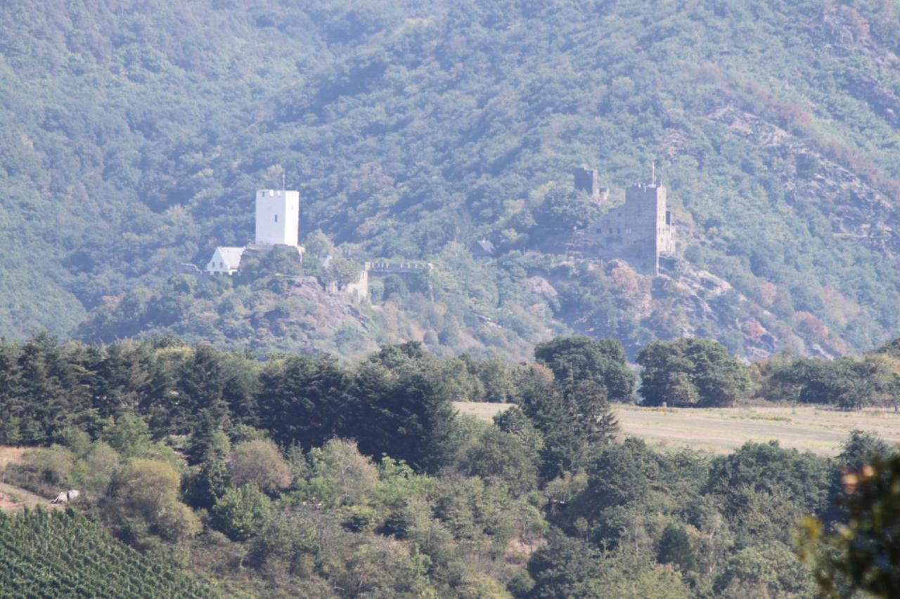 Ferienwohnungen Arnold Boppard Zewnętrze zdjęcie